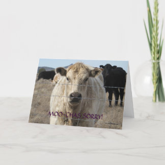 Funny Moo Schwarz-weiße Kuh Apologie - Ranch oder Karte