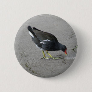 Funny Moorhen Nehmen Sie den Knopf Bow Button