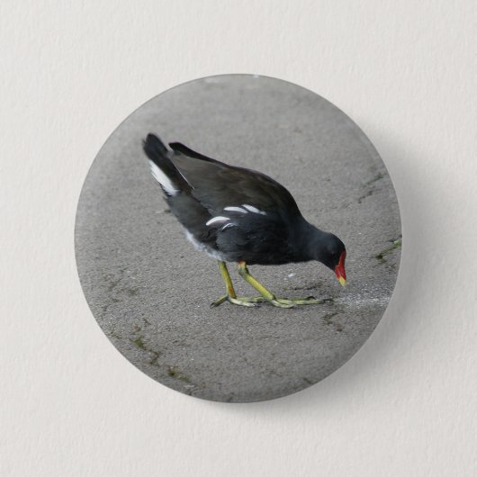 Funny Moorhen Nehmen Sie den Knopf Bow Button (Vorderseite)