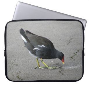 Funny Moorhen Nehmen Sie die Bow Laptop Tasche