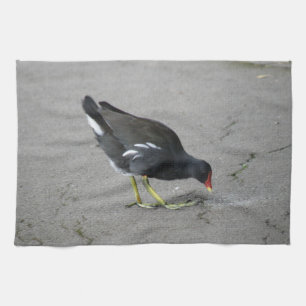Funny Moorhen Nehmen Sie ein Bow Kitetücher Handtuch