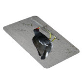 Funny Moorhen Nehmen Sie ein Bow Premium Magnet (Rechte Seite)