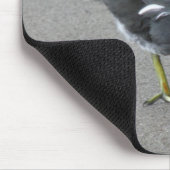 Funny Moorhen Nehmen Sie eine Bow Mousepad (Ecke)