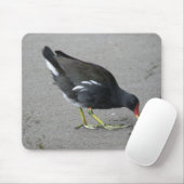 Funny Moorhen Nehmen Sie eine Bow Mousepad (Mit Mouse)