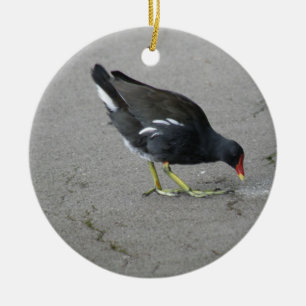 Funny Moorhen Nehmen Sie einen Bow Custom Geburtst Keramikornament