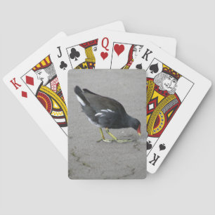 Funny Moorhen Nimm eine Bow und spiele Karten Spielkarten