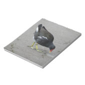 Funny Moorhen Nimm einen Bow Notepad Notizblock (Rotiert)