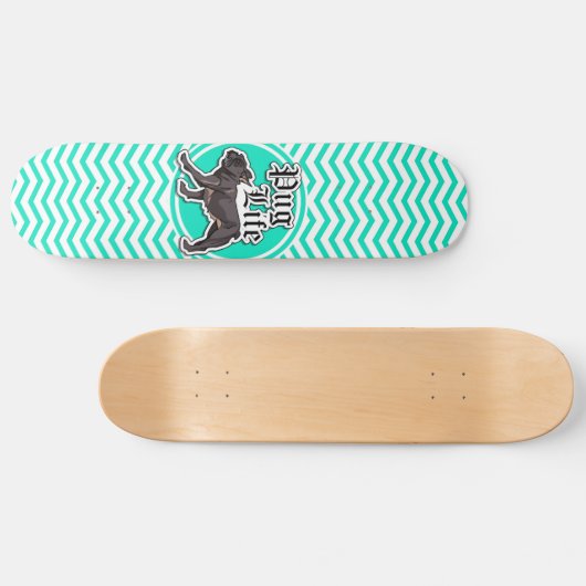 Funny Mops; Aqua Zickzack Skateboard (Horizontal)