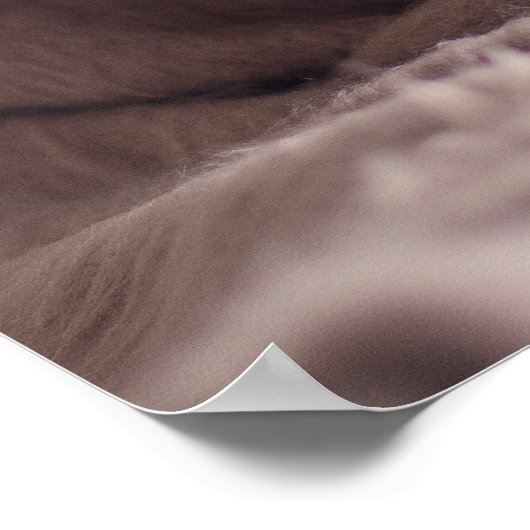 Funny Mops Dog Nah-Up Poster (Ecke)