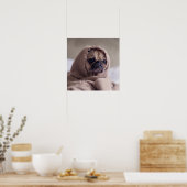 Funny Mops Dog Nah-Up Poster (Küche)