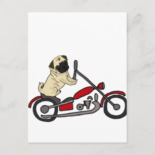 Funny Mops Dog Reiten Motorrad Art Postkarte