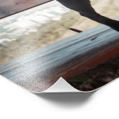 Funny Mops Fotodruck (Ecke)