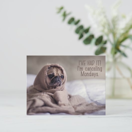 Funny Mops Hund Postkarte (Stehend Vorderseite)