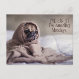 Funny Mops Hund Postkarte