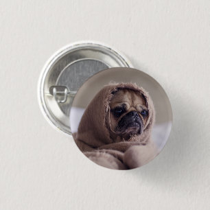 Funny Mops Hund ummantelt in einem Scarf Button