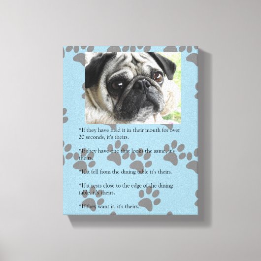 Funny MOPS Laws of Posession White Mops Leinwanddruck (Vorderseite)