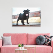Funny Mops Leinwanddruck (Insitu (Wohnzimmer))