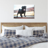 Funny Mops Leinwanddruck (Insitu (Schlafzimmer))