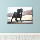 Funny Mops Leinwanddruck (Insitu (Holzboden))