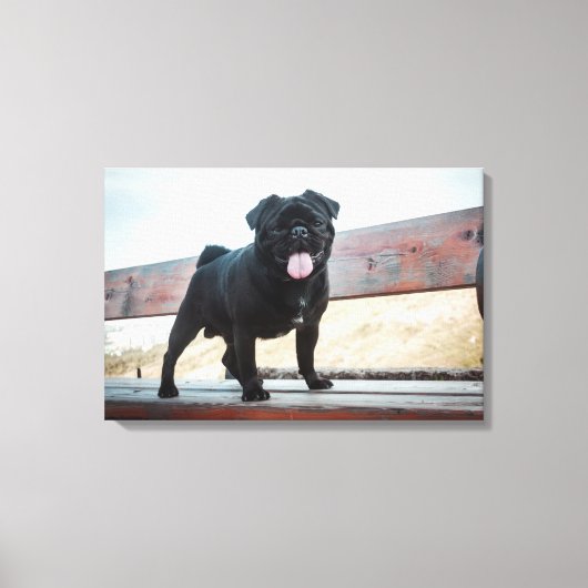 Funny Mops Leinwanddruck (Vorderseite)