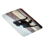 Funny Mops Magnet (Rechte Seite)