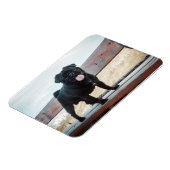 Funny Mops Magnet (Linke Seite)