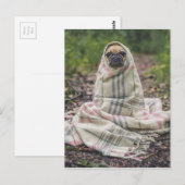 Funny Mops Postkarte (Vorne/Hinten)