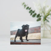 Funny Mops Postkarte (Stehend Vorderseite)