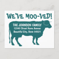 Funny Moving Kuh neue Adresse Wir haben mooved Gre