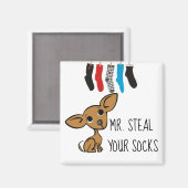 Funny Mr. Steal Your Socks Chihuahua Magnet (Vorderseite/Rückseite)