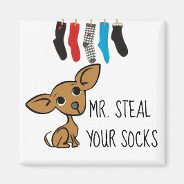 Funny Mr. Steal Your Socks Chihuahua Magnet