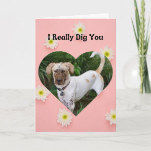Funny Muddy Hund I Dig You Valentine Karte