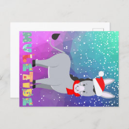 Funny Muletide Christmas Postcard Postkarte