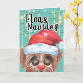 Funny Multipoo Hund Weihnachtsflohen Karte (Gelbe Blume)