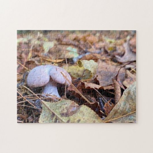 Funny Mushroom Hintern Jigsaw Puzzle (Horizontal)
