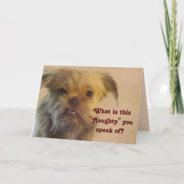Funny Mutt Naughty Question Hund Foto Weihnachten