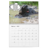 Funny Naughty Dog Kalender (Feb 2027)