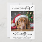 Funny Naughty Nice Personalisierten Niedlichen Hun Feiertagskarte (Vorderseite)