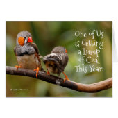 Funny Naughty oder Nice Cheeky Pair von Zebra Finc (Vorderseite (Horizontal))