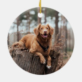 Funny Naughty The Nice List Foto Weihnachten Keramik Ornament (Hinten)