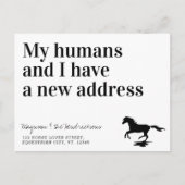 Funny New Address Horse Pet Moving Ankündigungspostkarte (Vorderseite)