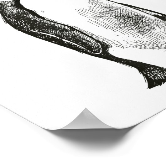 Funny New Year Same Baka Life Humor Penguin Joke Poster (Ecke)