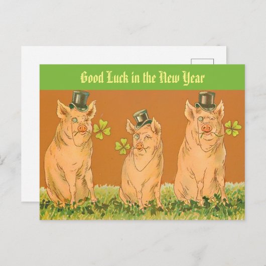 Funny New Year Schweine "Viel Glück in the New Yea Postkarte (Vorne/Hinten)