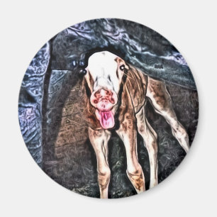 Funny Newborn Foal Magnet
