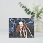 Funny Newborn Foal Postkarte (Stehend Vorderseite)