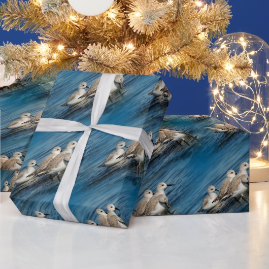 Funny Niedlich 4 Sanderlings Sandpipers am Strand Geschenkpapier (Feiertage)