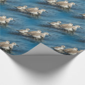 Funny Niedlich 4 Sanderlings Sandpipers am Strand Geschenkpapier (Ecke)