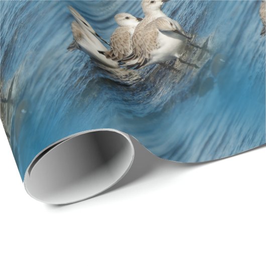 Funny Niedlich 4 Sanderlings Sandpipers am Strand Geschenkpapier (Rolleneckpunkt)