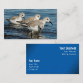 Funny Niedlich 4 Sanderlings Sandpipers am Strand Visitenkarte (Vorne/Hinten)