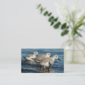 Funny Niedlich 4 Sanderlings Sandpipers am Strand Visitenkarte (Stehend Vorderseite)